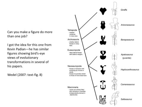 Illustration talk slide 64