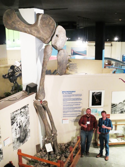 Cary and Matt with Brachiosaurus forelimb