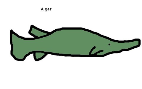 gar