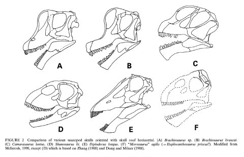 CarpenterTidwell1998-fig2