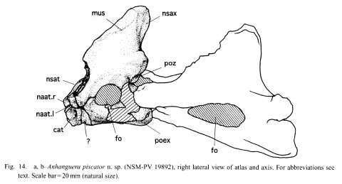 KellnerTomida2000-fig14