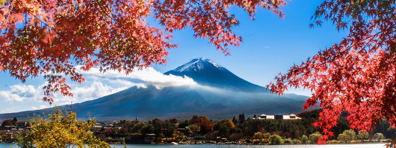 [女孩攝影日常] 楓葉和富士山雙主角的經典取景