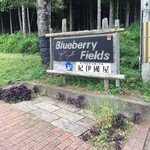 Blueberry Fields 紀伊國屋 - 