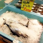 気仙沼お魚いちば - 朝釣り極鮮かつお