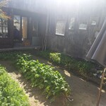 讃岐地人食堂旬菜 汐さぎ！ 庵 - お野菜のお庭