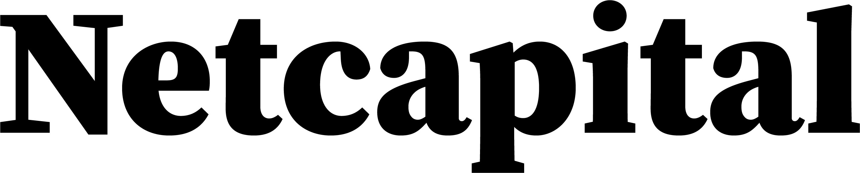 Netcapital Logo