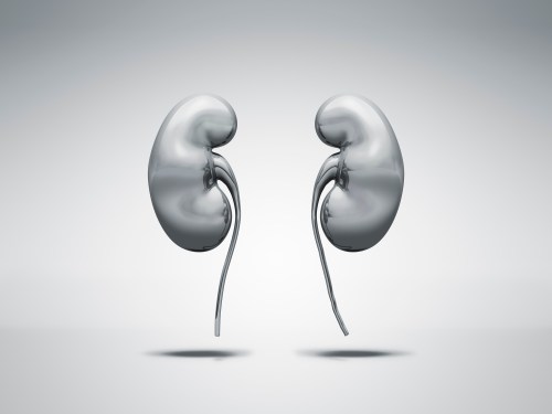 metal kidneys