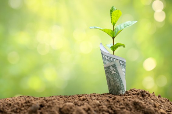 Seed money basics