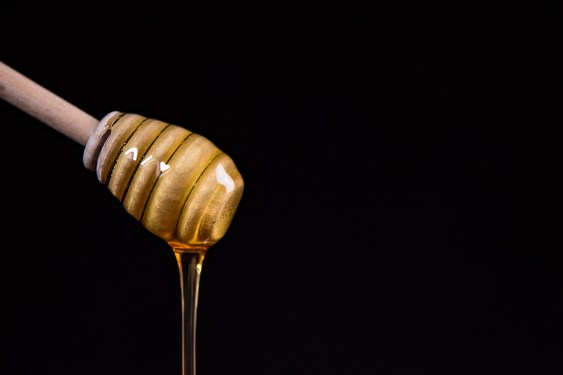 Close-Up Of Honey Dipper Over Black Background