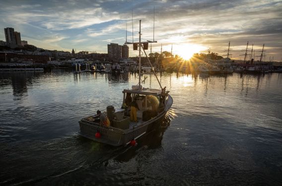 A fishing boat leaves Pier 45 in San Francisco, California, U.S., on Tuesday, Jan. 11, 2022. San Francisco’s commercial Dungeness crab season opened on December 29, after weeks of delays due to migrating whales. Photographer: David Paul Morris/Bloomberg