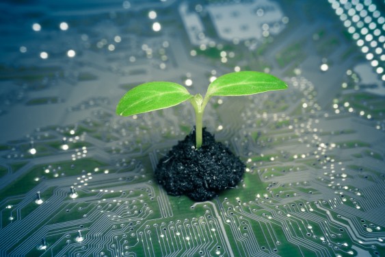 plant growing on a computer circuit board