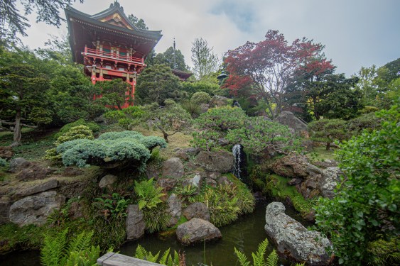 Pagoda and waterfall at San Francisco Japanese Tea Garden