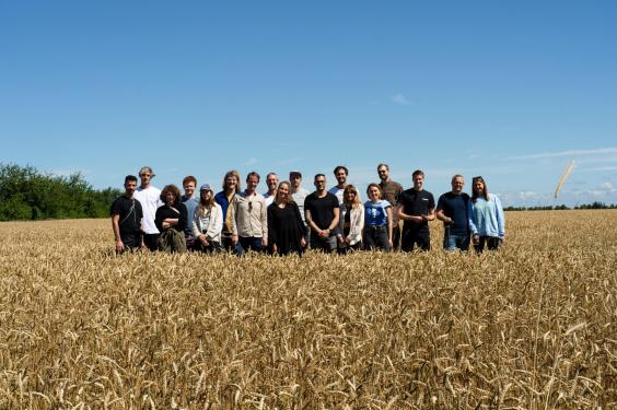 AgriTech startup Klim's team pictured in a field of wheat