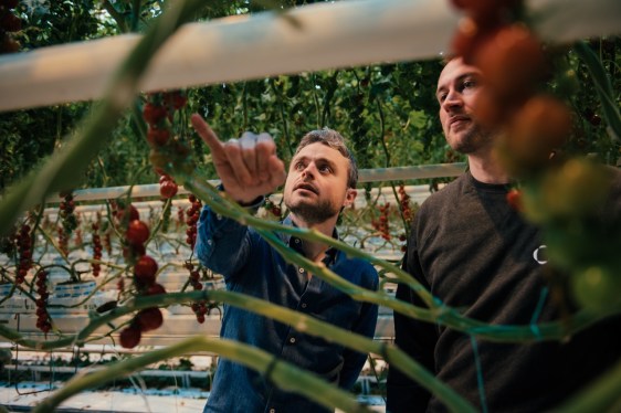 Source.ag reps in a greenhouse