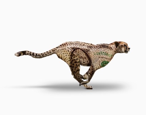 A cheetah is superimposed over a U. S. dollar bill in an image about ROI, successful investment, and investment strategy.