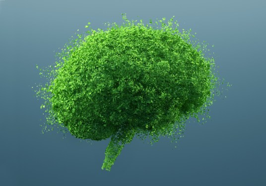 Digital generated image of brain made out of leaves against blue background.