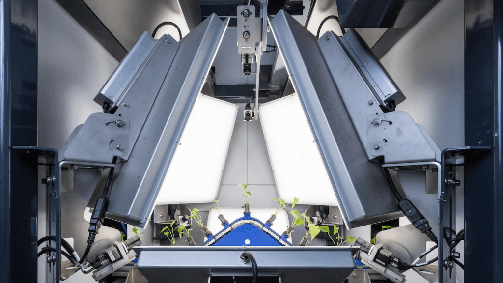 Plant sorting machine by ISO Group, powered by Robovision
