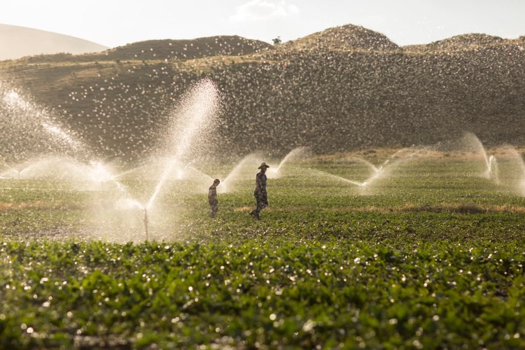 Farmers walk through a field being irrigated.