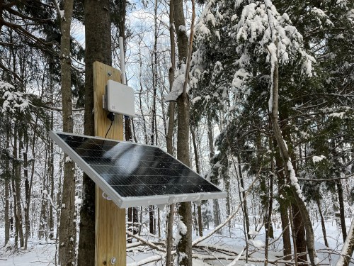 PIcture of one of Farmblox's universal monitors attached to a maple tree.