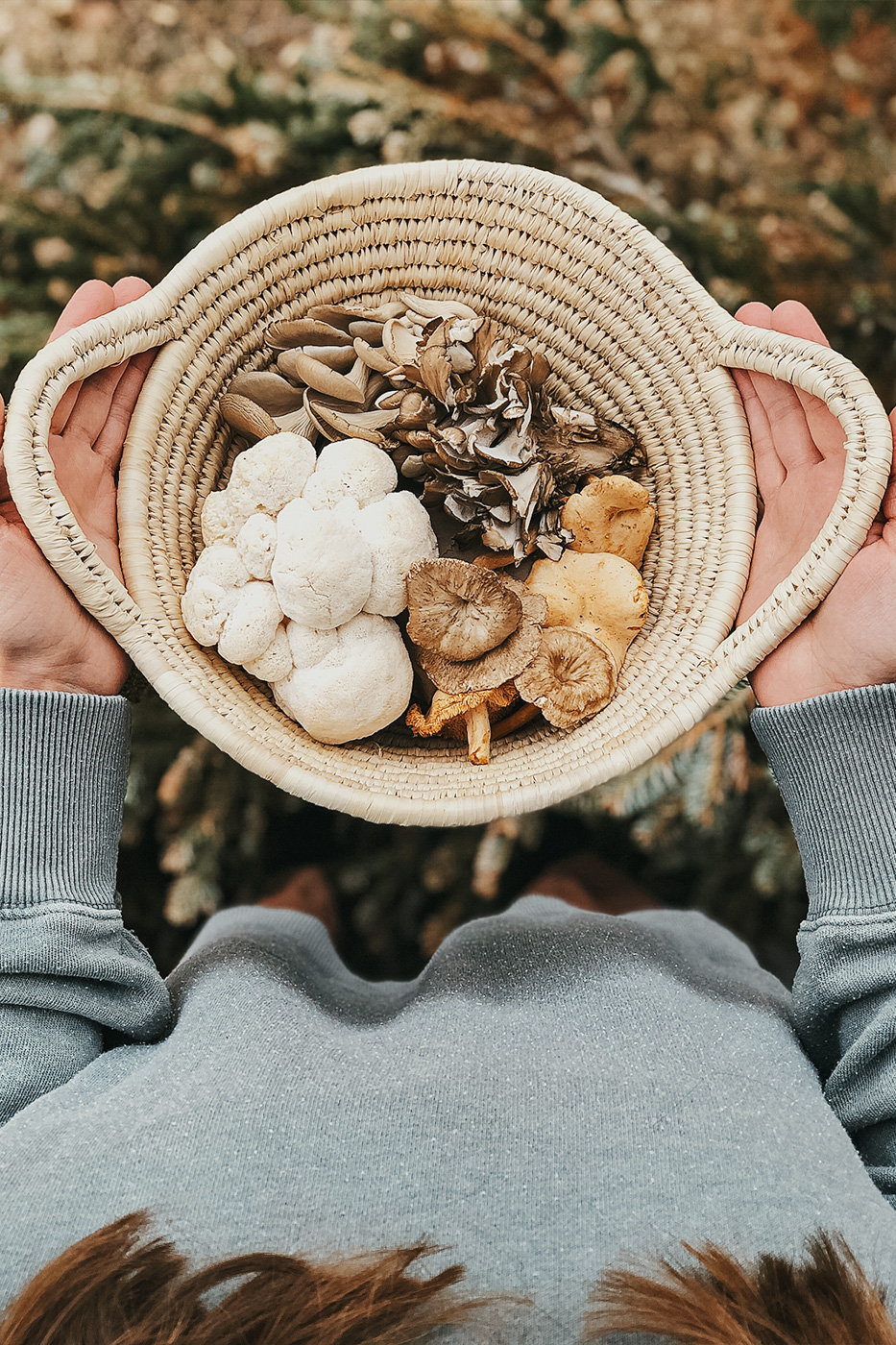 Herbal Academy's The Mushroom Course