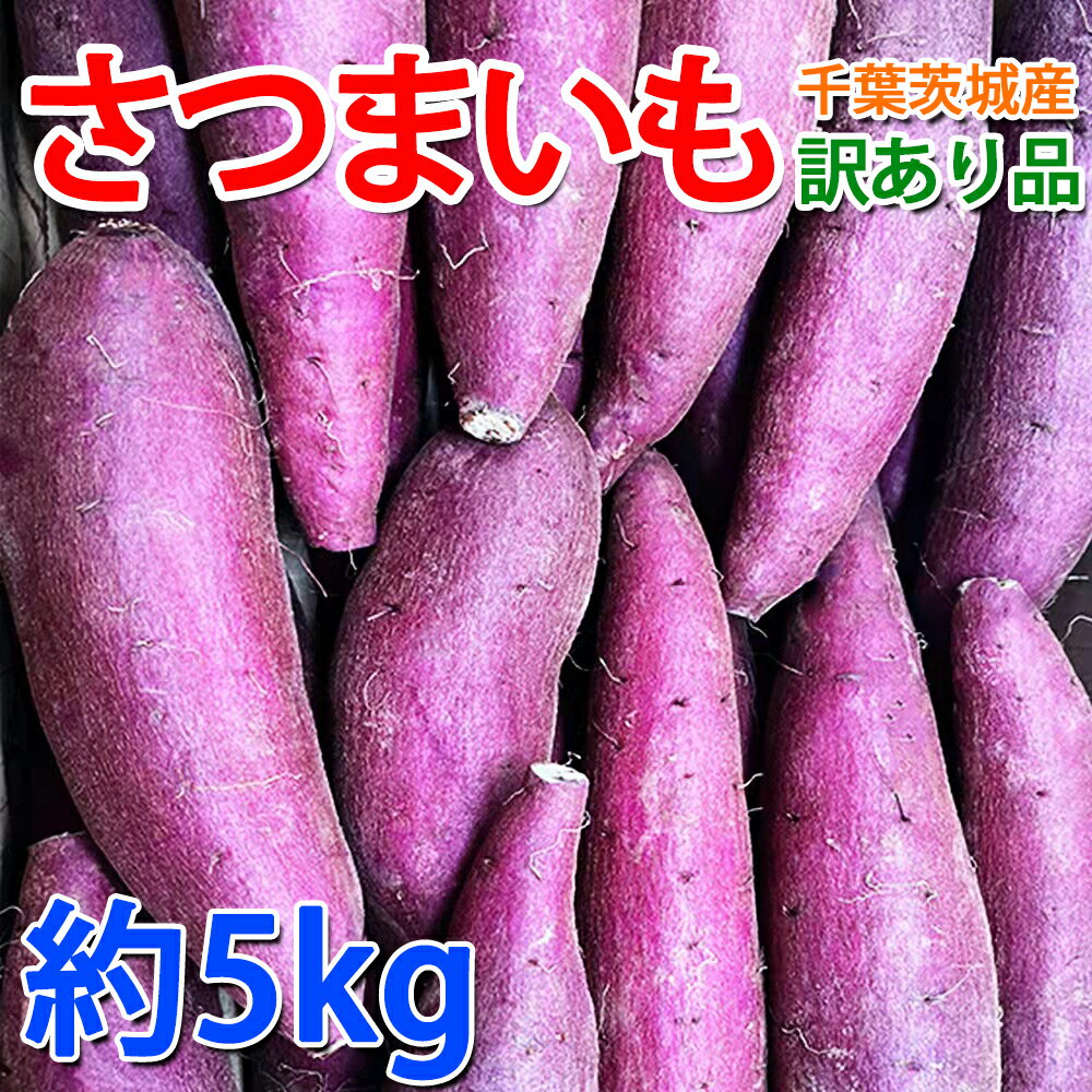 【1月6日順次発送】【最安値挑戦！楽天1位】さつまいも 5KG 訳あり品　紅はるか 紅東 栗かくや 或いはシルクスイート サツマイモ 焼き芋に 千葉県・茨城県産地厳選 秀品 美味しい やきいもに 食物繊維 美容 スイーツ