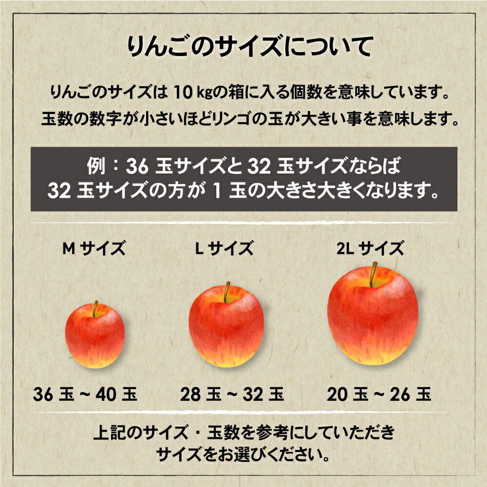 信州産 サンふじ 10kg 【送料無料】 長野県産 りんご サンフジ 【贈答用】