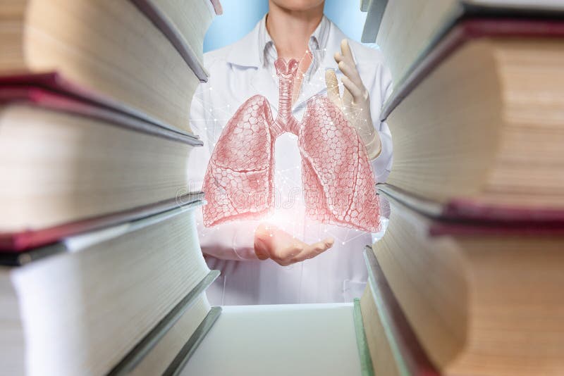 Concept of studying human lungs stock photos