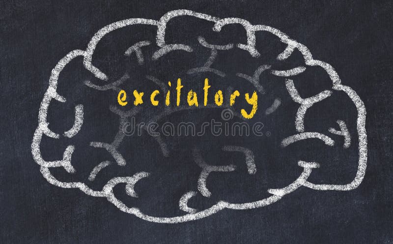 Drawind of human brain on chalkboard with inscription excitatory royalty free stock photos
