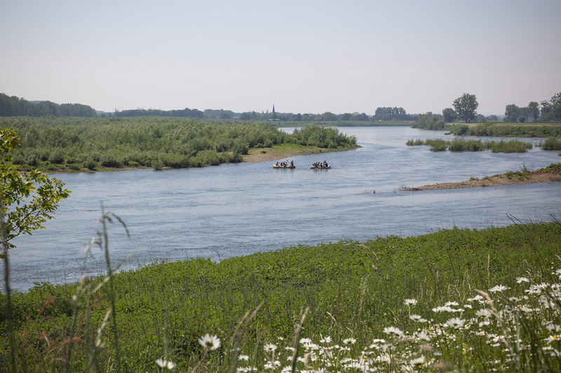 Landschapspark Maasvallei (c) Jean Paul Bardelot 2024 (30)