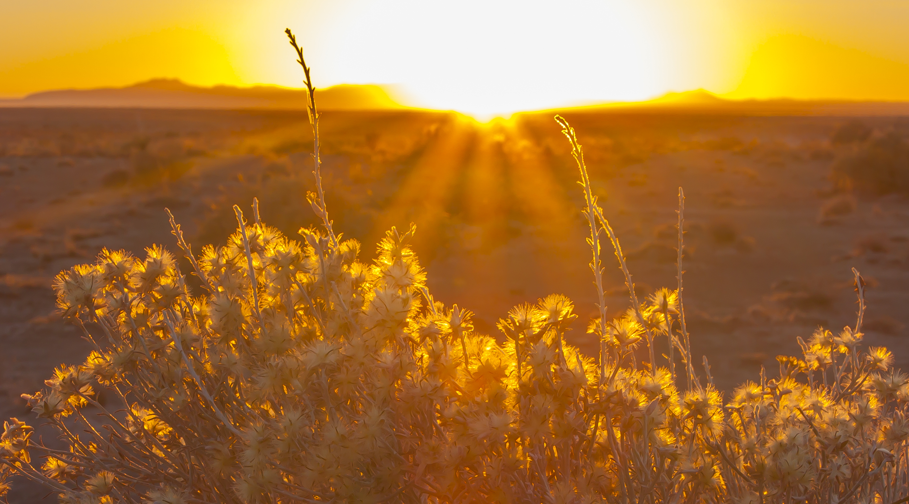 How the Energy Transition Will Reshape Business: Opportunities, Risks, and Regulations