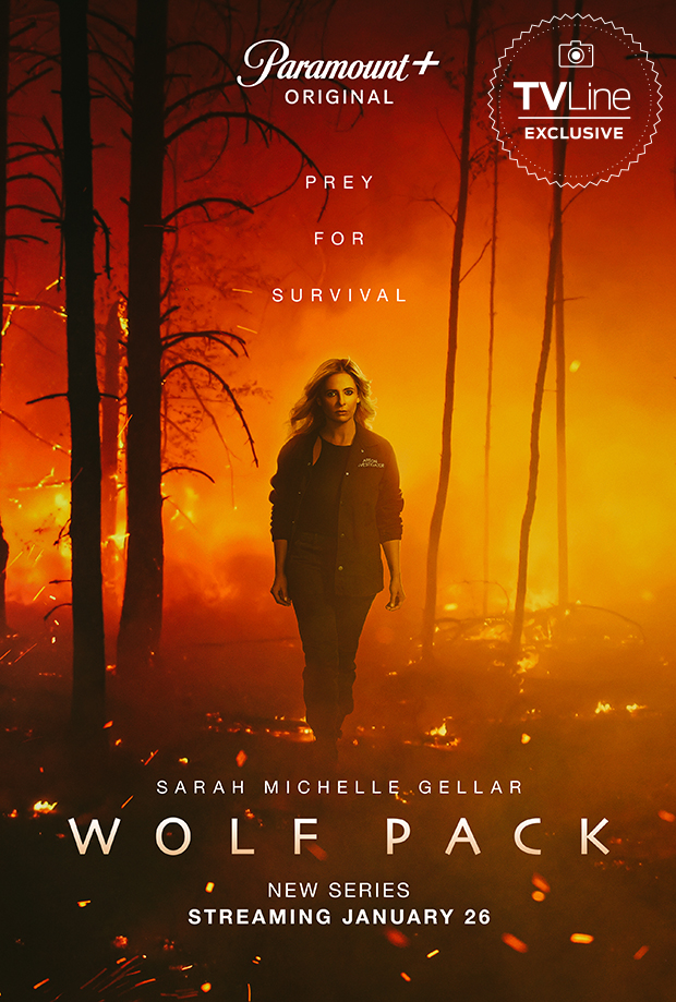 Wolf Pack Sarah Michelle Gellar