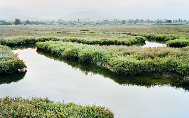 Carpinteria Salt Marsh Reserve