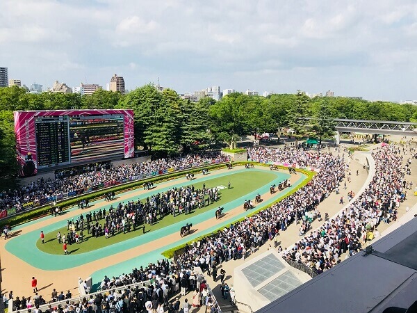 競馬の魅力 パドックで馬を見て予想しよう