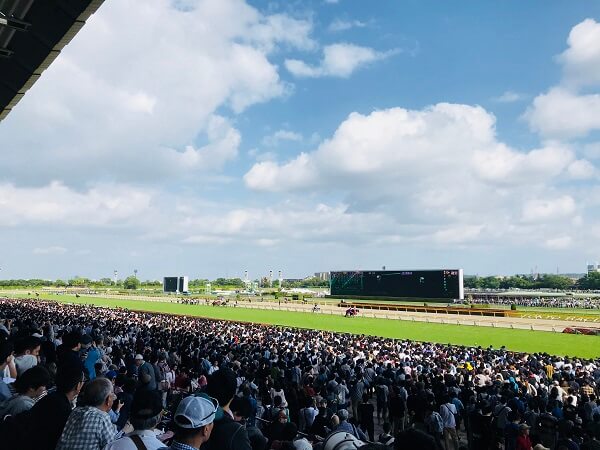 実際の競馬場