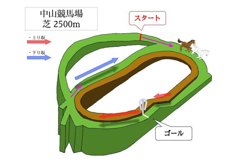 中山競馬場 芝2500mのコースで特徴を解説