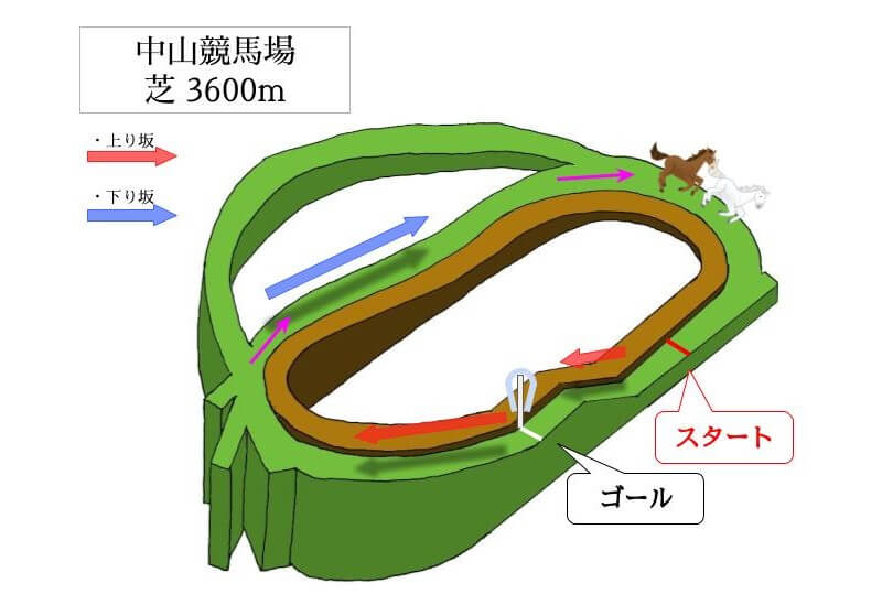 中山競馬場 芝3600mのコースで特徴を解説