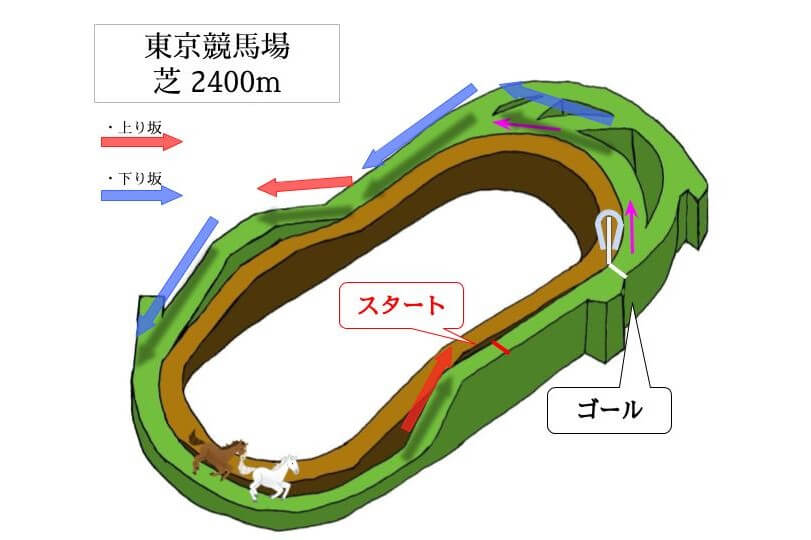 東京競馬場 芝2400mのコースで特徴を解説