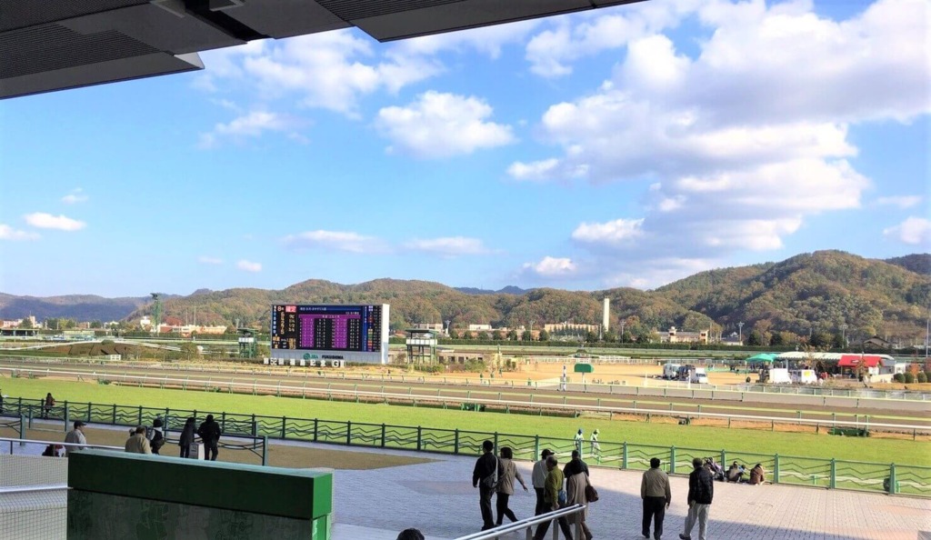 福島競馬場のコースと楽しむ競馬ファン