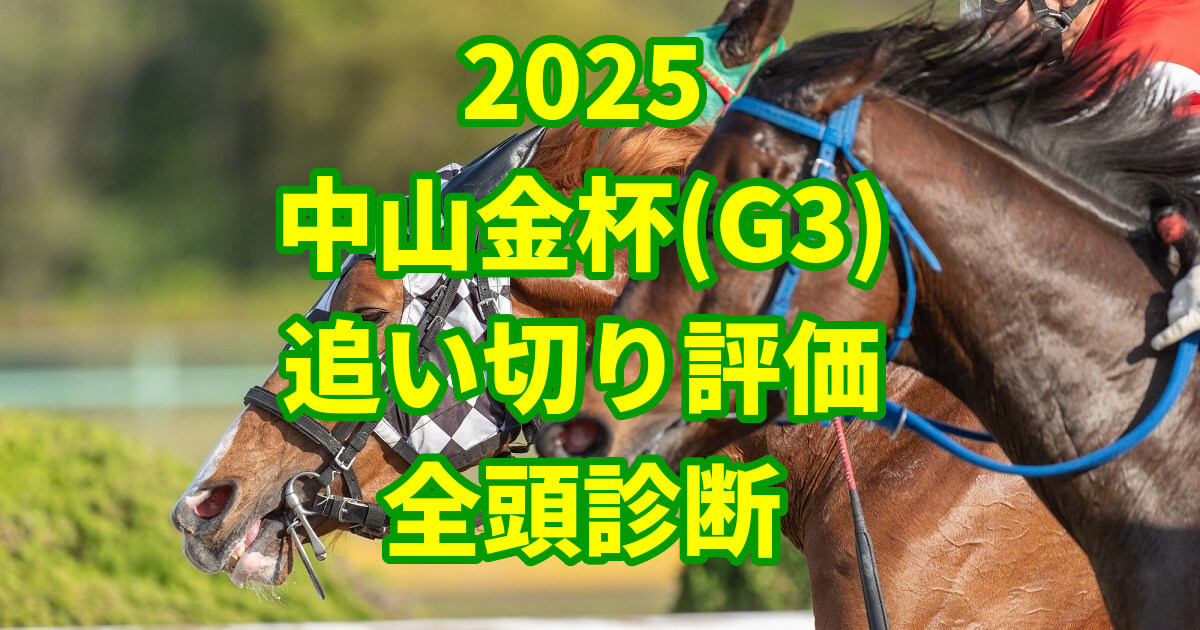 中山金杯2025追い切り評価記事のサムネイル画像