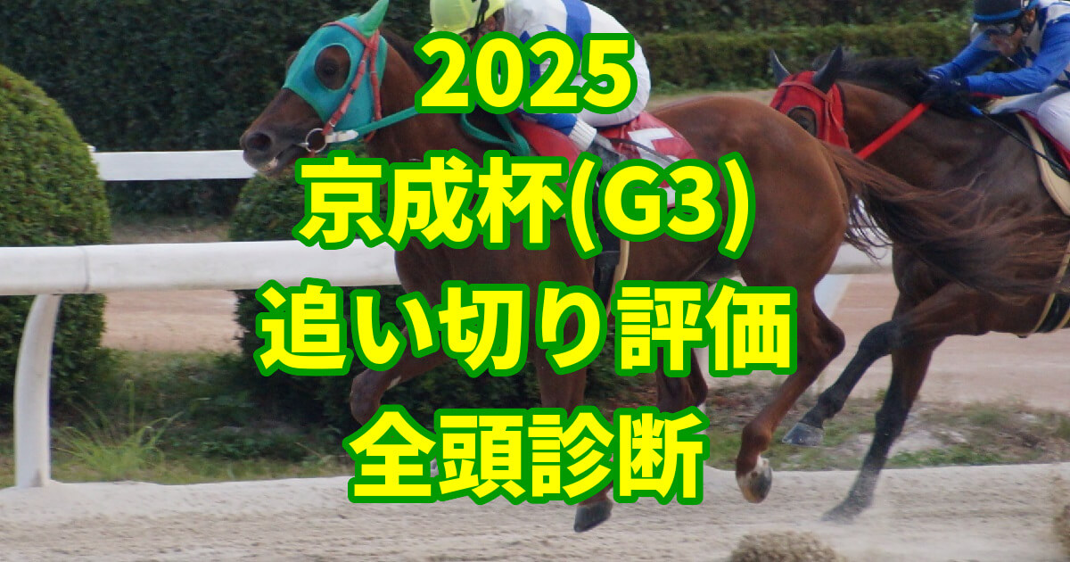 京成杯2025追い切り評価記事のサムネイル画像