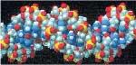 Model pengisi ruang seksion molekul DNA.