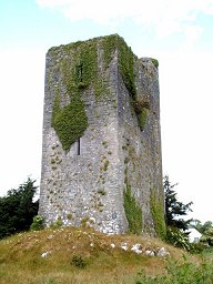 Turdomo en Quin (Graflando Clare, Irlando)