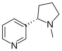 Chemical structure of nicotine