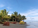 Praia de Ladrilleros em Colombia na costa da região natural de Chocó