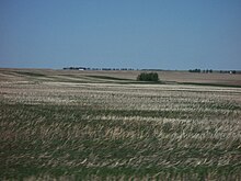 Pradera en Alberta, Canadá.