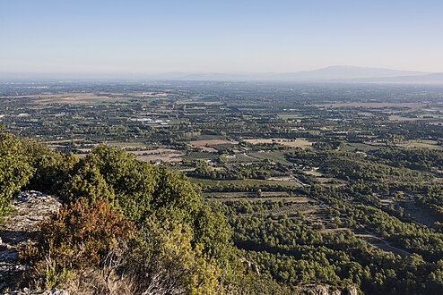 agricultural landscape near of Saint-Rémy-de-Provence