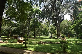 Le Cubbon Park, « Poumon Vert » du Centre-ville.