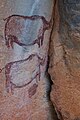 English: Cave paintings in Tsodilo Hills. Македонски: Пештерски цртежи во Цодило.