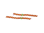 1wq6: The tetramer structure of the nervy homology two (NHR2) domain of AML1-ETO is critical for AML1-ETO'S activity