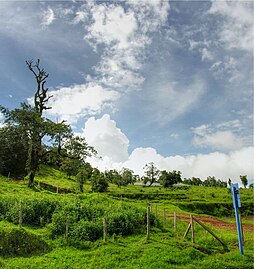 En la zona del volcán Poás destaca por sus escenarios paisajísticos, con numerosas lecherías, restaurantes y sitios para adquirir artesanías y productos locales.